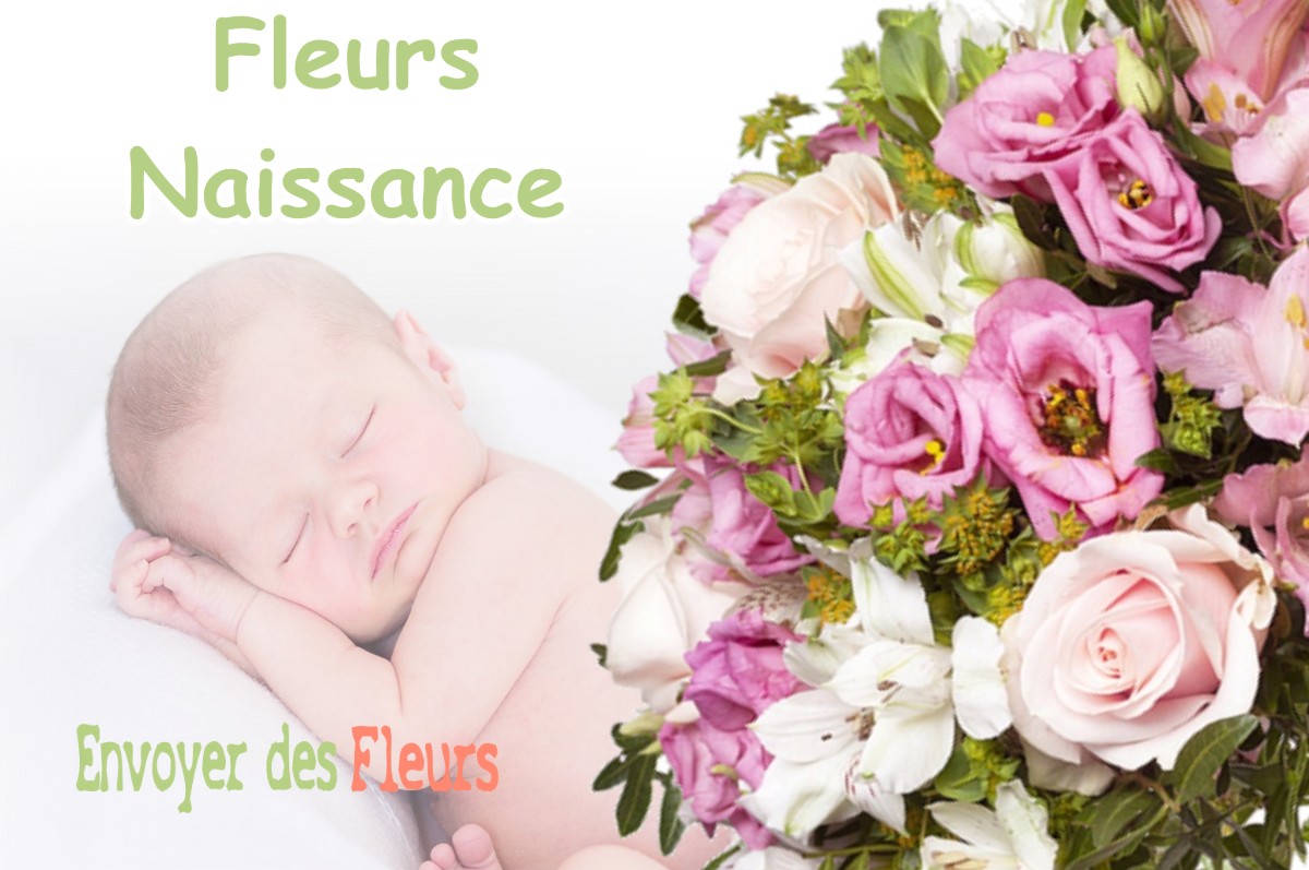 lIVRAISON FLEURS NAISSANCE à ORE